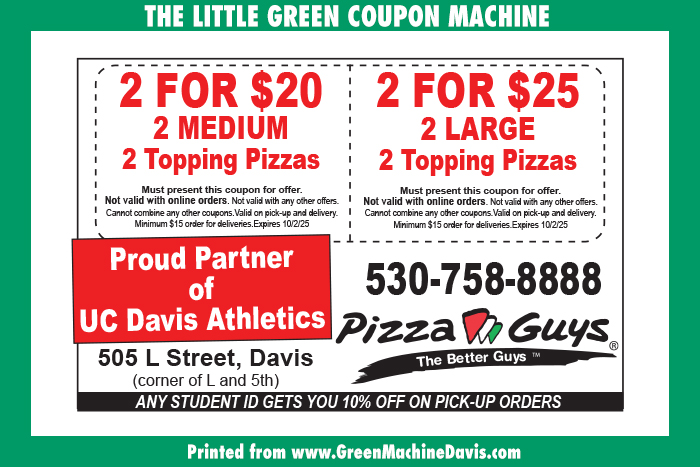 Pizza Guys Coupon